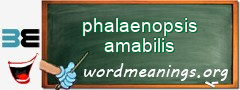 WordMeaning blackboard for phalaenopsis amabilis